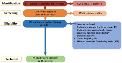 Olfaction and Executive Cognitive Performance: A Systematic Review